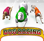 Dog Racing